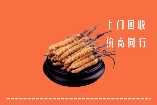 高价求购：龙门回收散虫草
