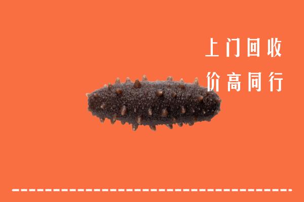 高价求购：龙门回收海参