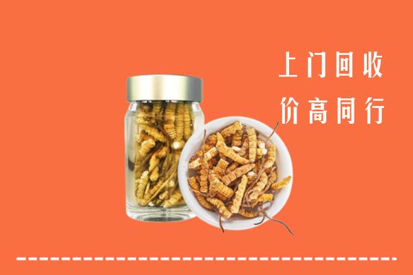 龙门回收冬虫夏草