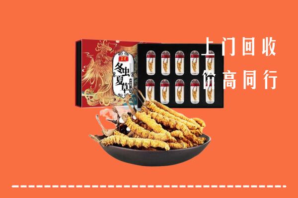 龙门回收虫草